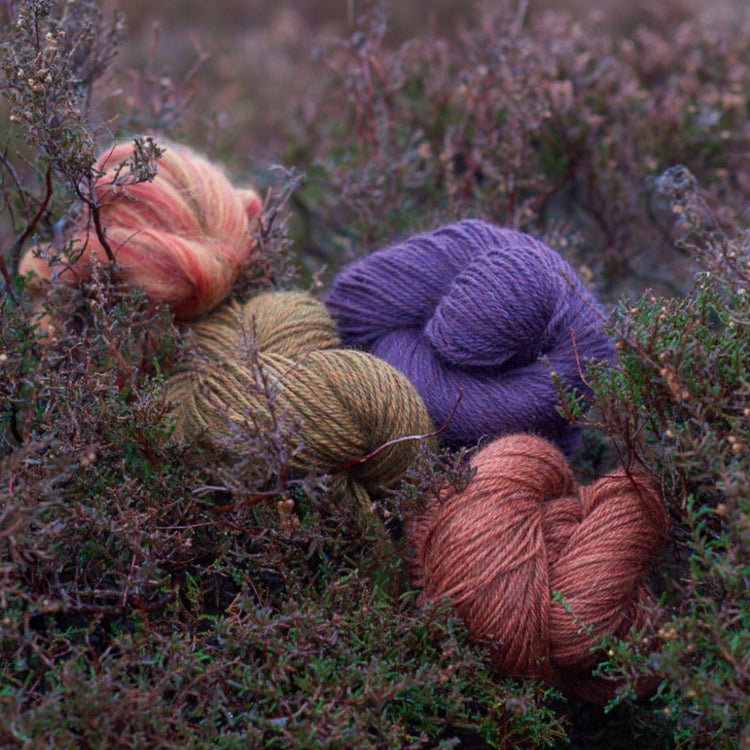 Harvest Hues Yarn