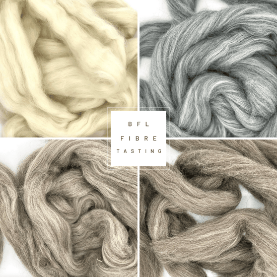 Spinning Fibres | Bluefaced Leicester Fibre 100 gram Tops - Natural Fibre Arts