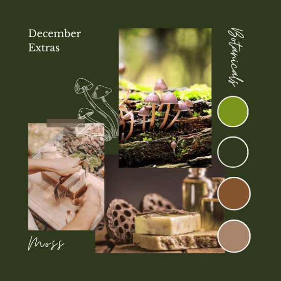 December Botanicals Add On Packages - OPENS 1ST NOVEMBER