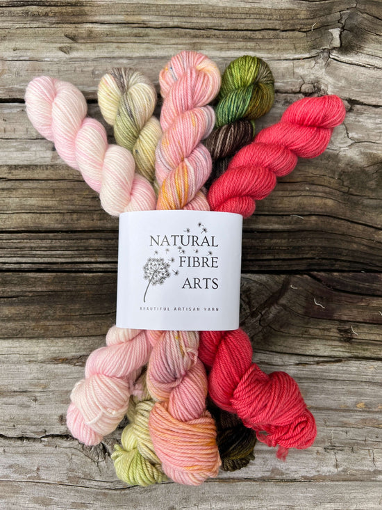 Hand-dyed Azaleas Mini Skein Bundle | Natural Fibre Arts yarn set in vibrant colors.